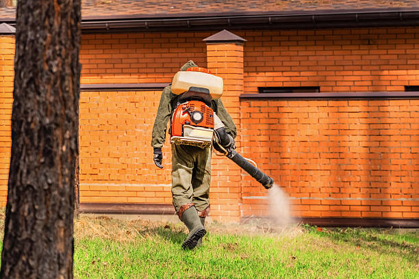 Trusted Termite Control service in Kutztown University, PA - Nex Pest Control